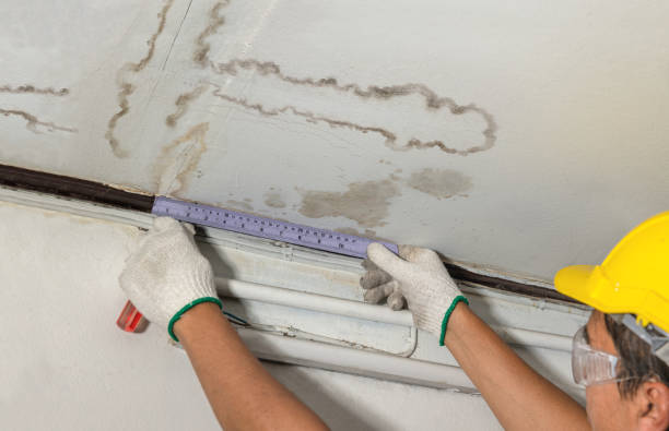 Reliable Basement Water Removal contractor in Lewiston, CA by Water Damage Irwin
